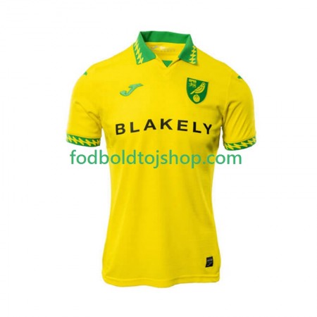 Norwich City Hjemme trøje 2025-26 S/S